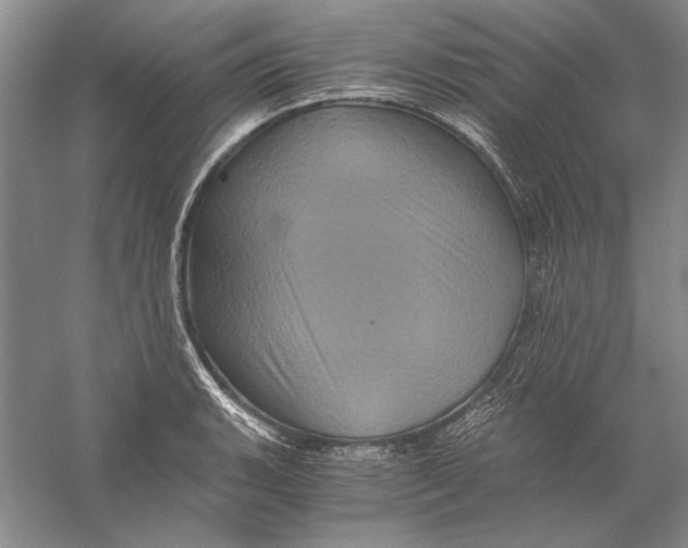 X0000056381135200509232218