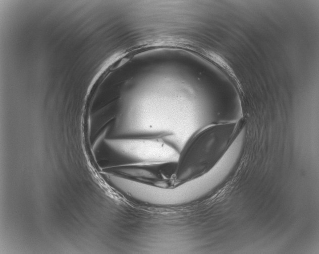 X0000056381138200509232218