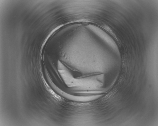 X0000056381140200509232218