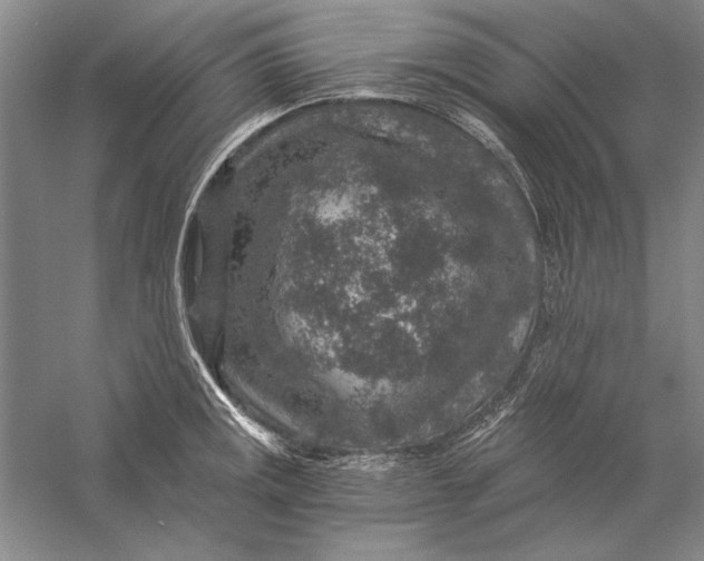 X0000056381141200509232218