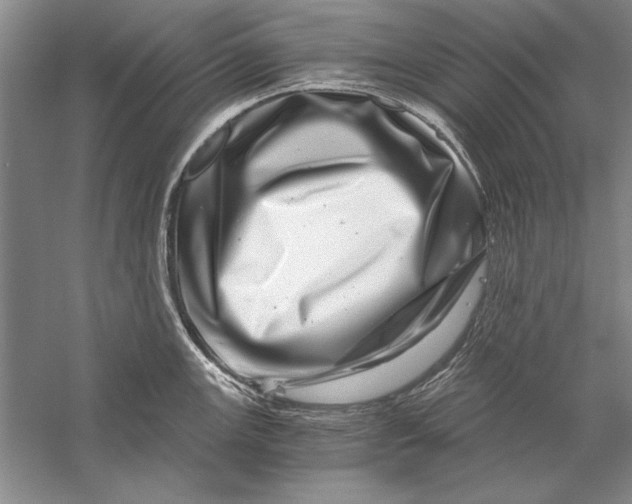 X0000056381147200509232218