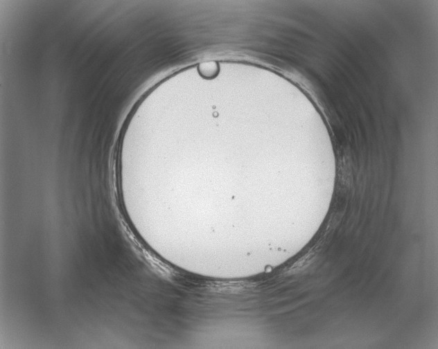 X0000056381150200509232218