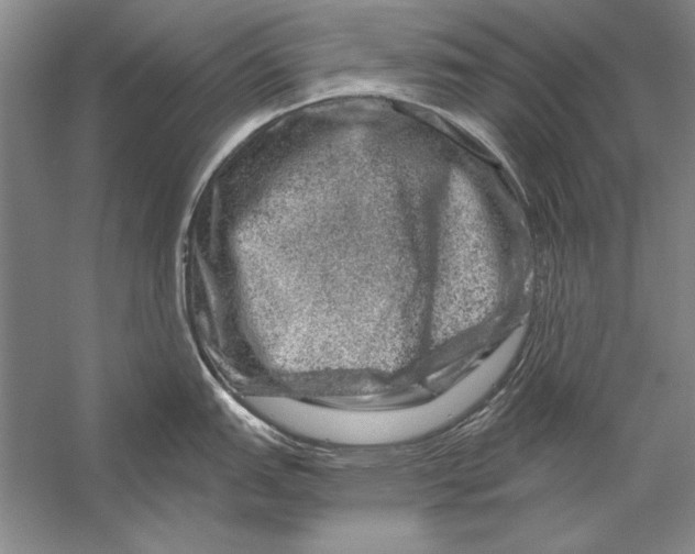 X0000056381151200509232218