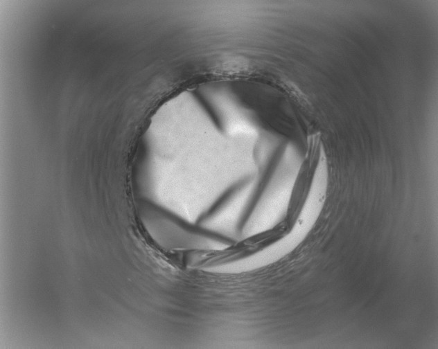 X0000056381153200509232217