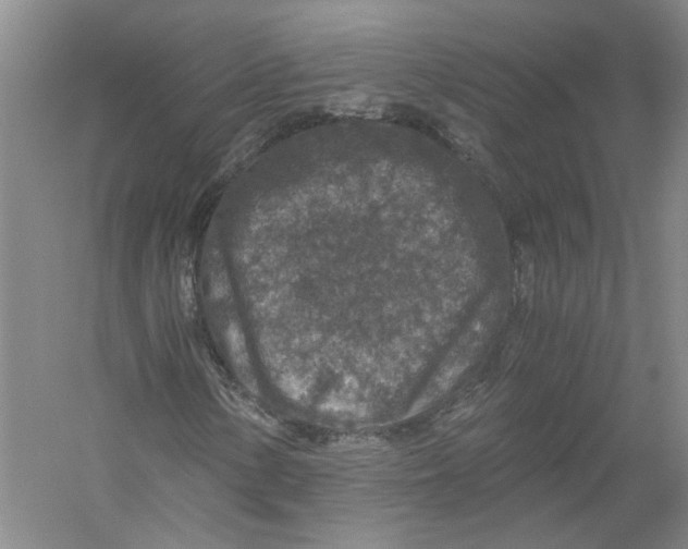 X0000056381154200509232217