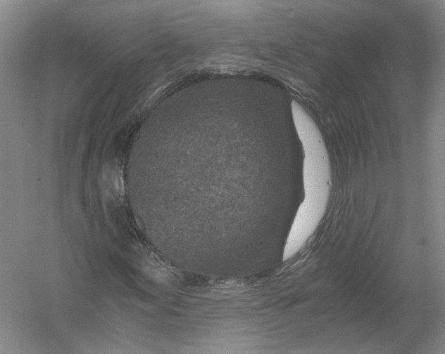 X0000056381155200509232217