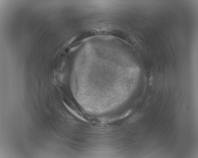 X0000056381156200509232217