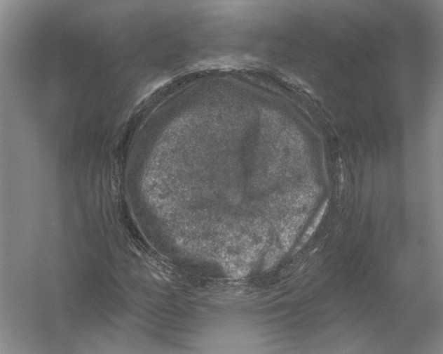 X0000056381158200509232217