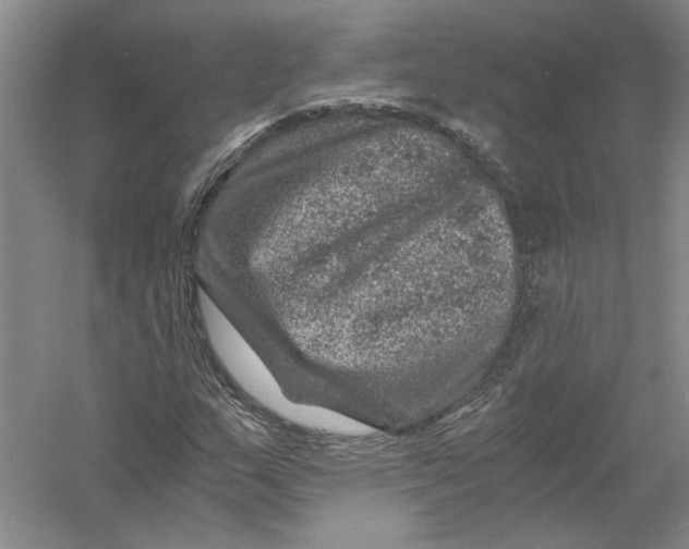 X0000056381159200509232217