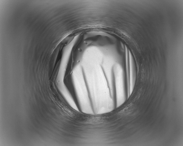 X0000056381162200509232217