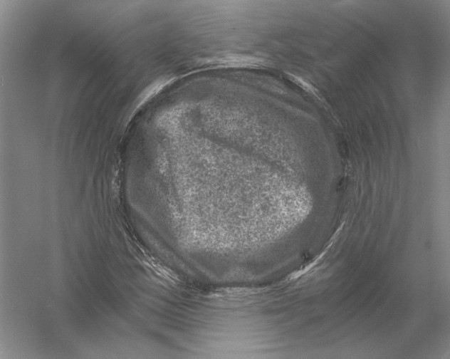 X0000056381163200509232217