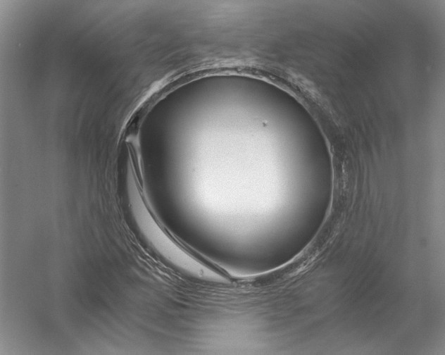 X0000056381165200509232217