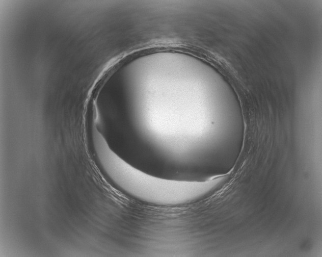 X0000056381168200509232217