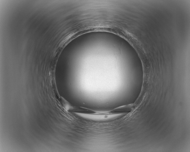 X0000056381169200509232217