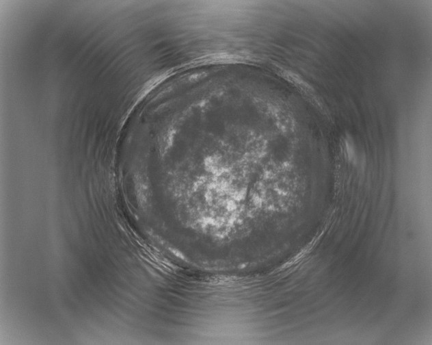 X0000056381170200509232217