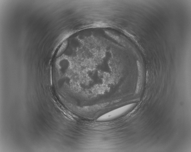 X0000056381171200509232217