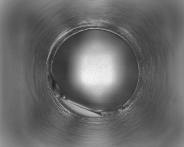 X0000056381172200509232217