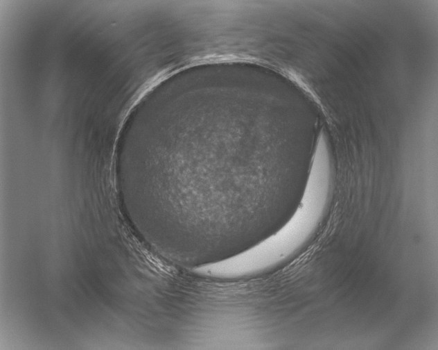 X0000056381173200509232217