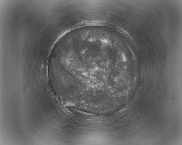 X0000056381174200509232217