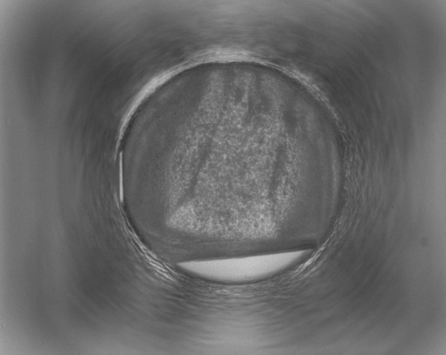 X0000056381175200509232217