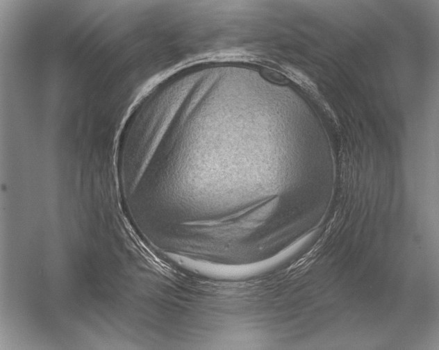 X0000056381176200509232217