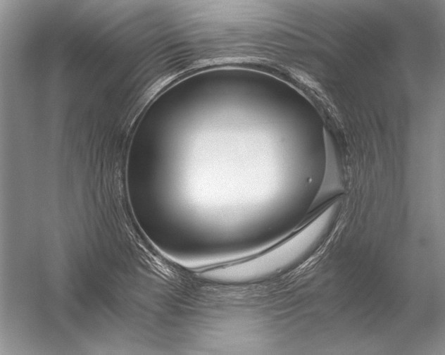 X0000056381177200509232217