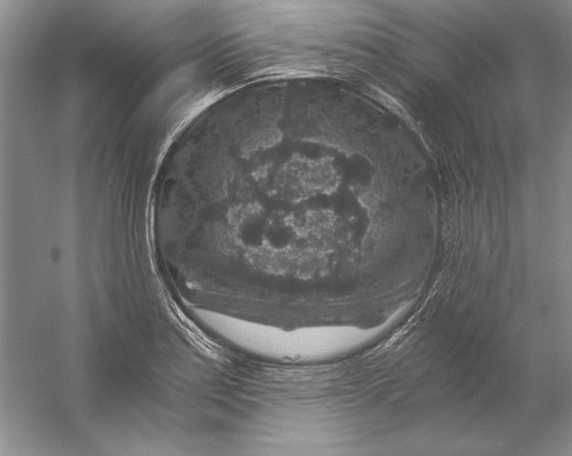 X0000056381179200509232217