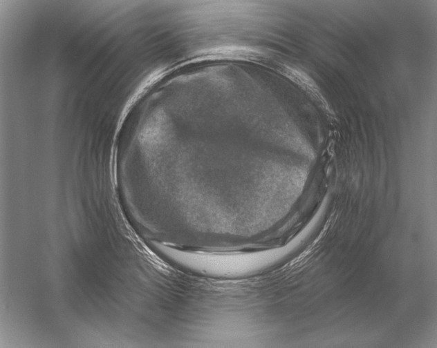 X0000056381180200509232217