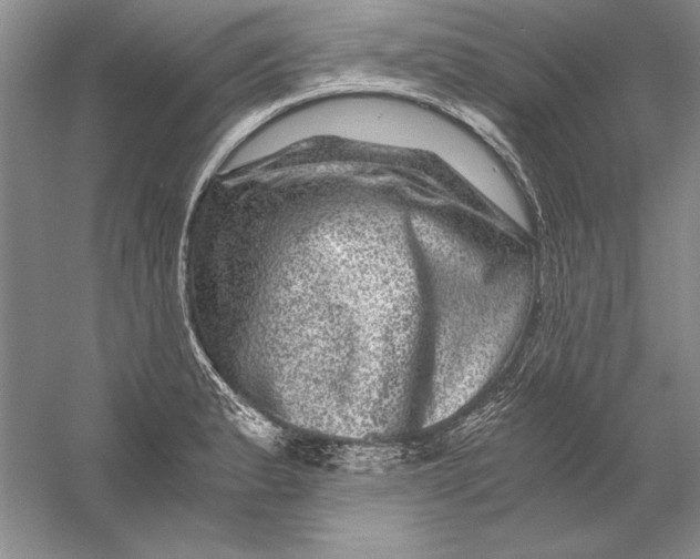 X0000056381183200509232217