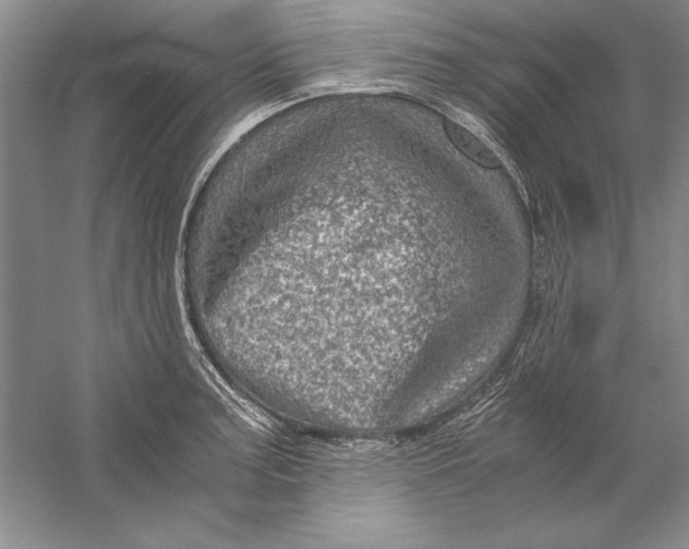 X0000056381187200509232216