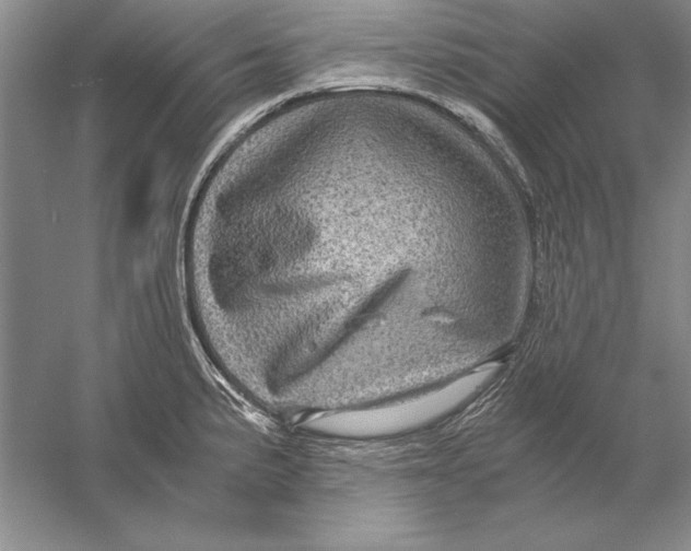 X0000056381191200509232216