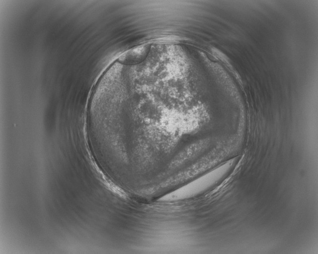 X0000056381194200509232216