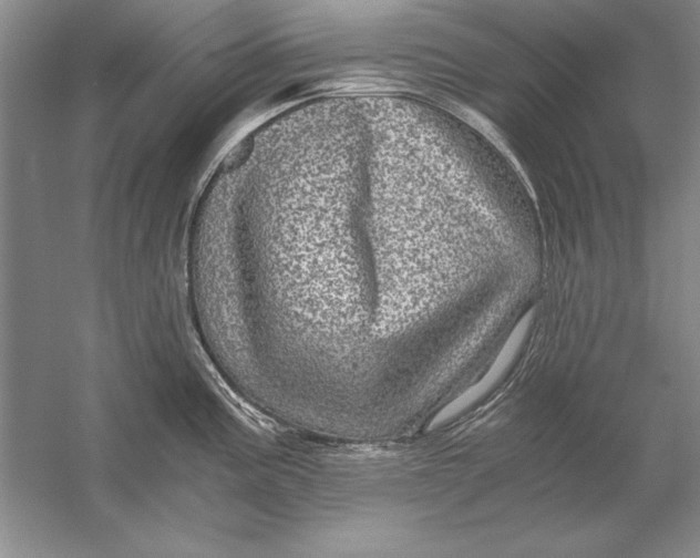 X0000056381195200509232216