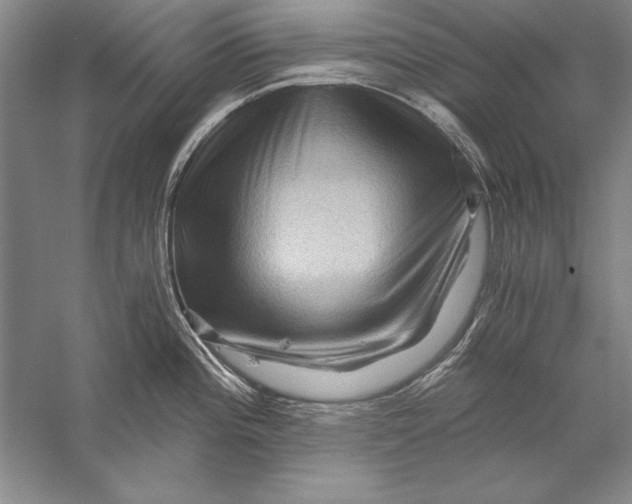 X0000056381196200509232216