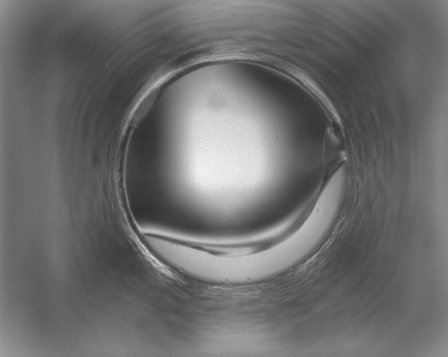 X0000056381197200509232216