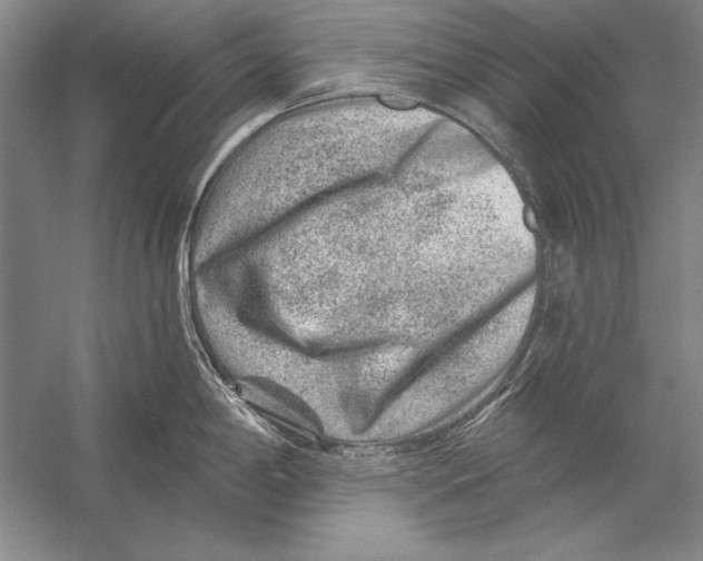 X0000056381198200509232216