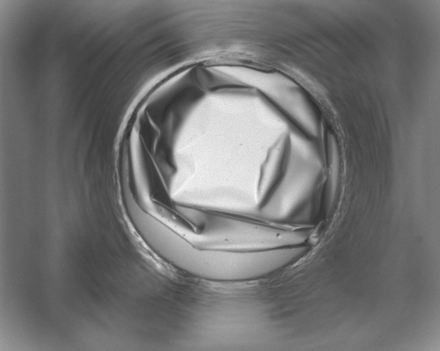 X0000056381200200509232216