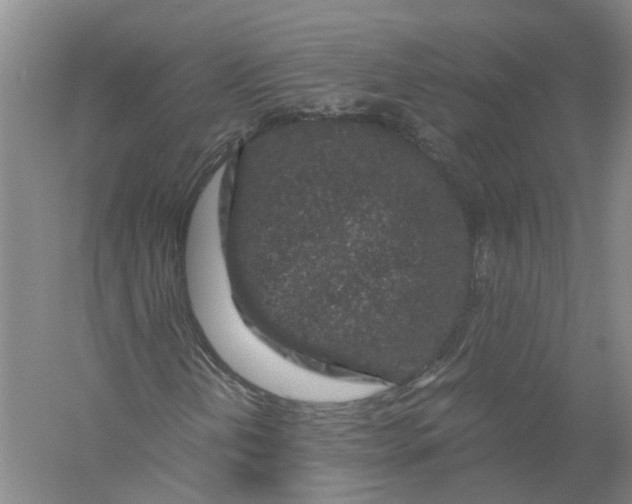 X0000056381202200509232215