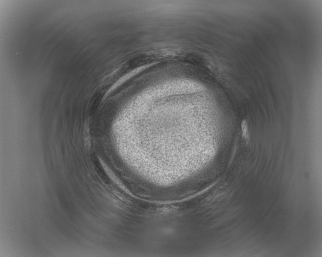 X0000056381203200509232215