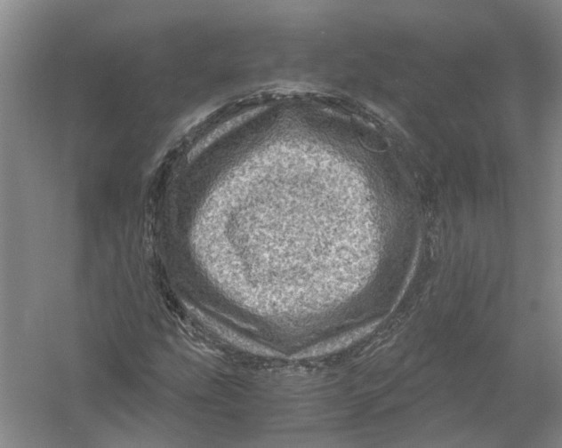 X0000056381207200509232216