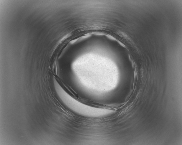 X0000056381210200509232216