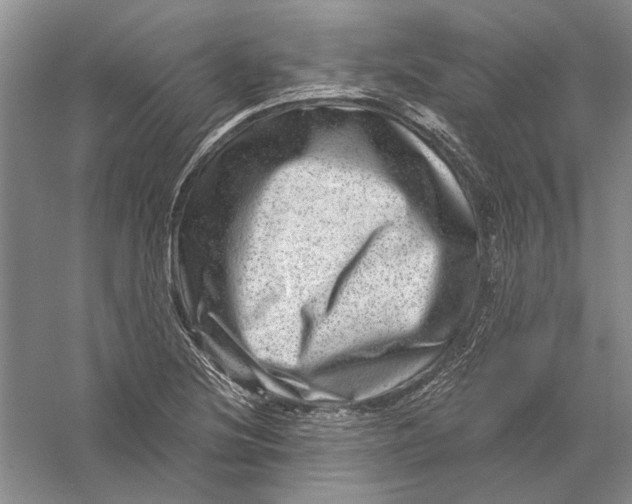 X0000056381220200509232216