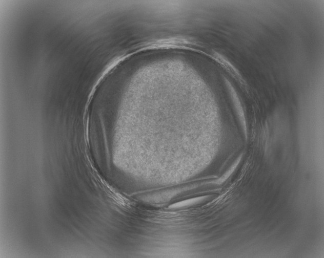 X0000056381224200509232216