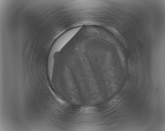 X0000056381225200509232216