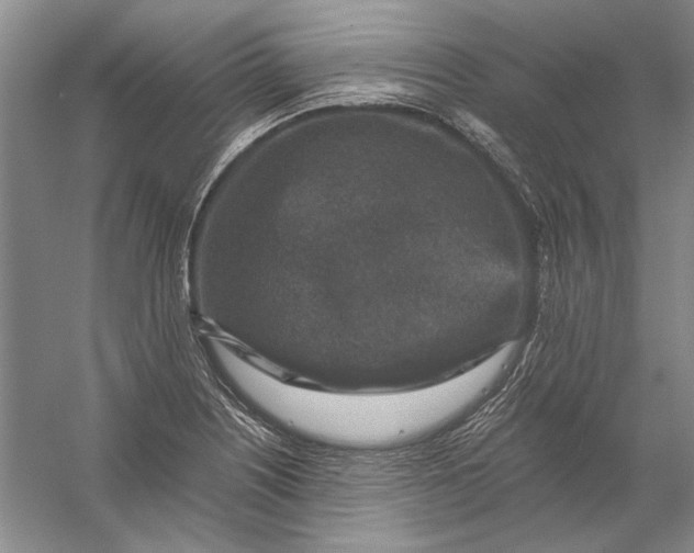 X0000056381226200509232216