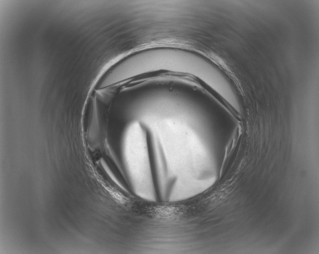 X0000056381230200509232216