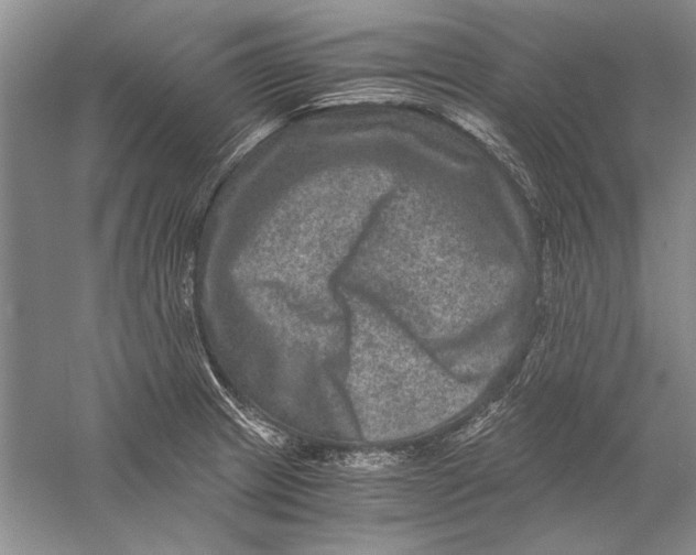 X0000056381233200509232216