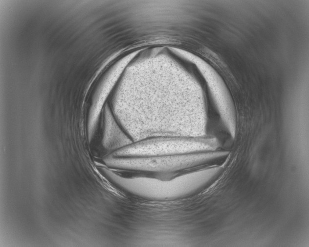 X0000056381236200509232216