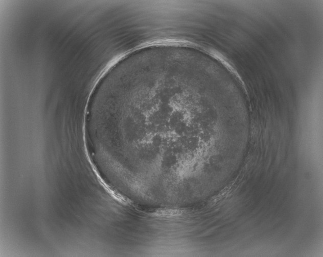 X0000056381237200509232216