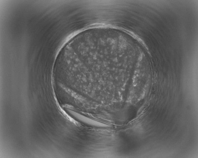 X0000056381239200509232216